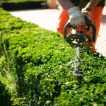 Home and garden concept. Hedge trimmer in action. Shrub trimming work. Shrub pruning. Gardening and trimming activities. Great detail of the cut leaves splashing.